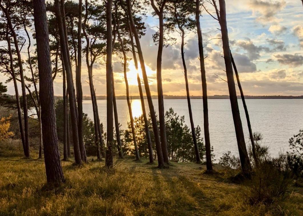 Tallskog - Dein Apartment Am Naturstrand Hohen Wieschendorf Hohenkirchen  Zewnętrze zdjęcie