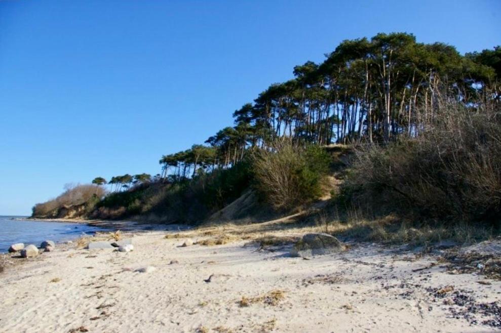 Tallskog - Dein Apartment Am Naturstrand Hohen Wieschendorf Hohenkirchen  Zewnętrze zdjęcie