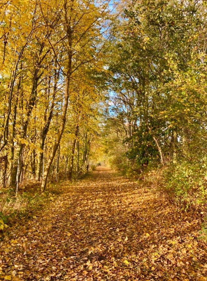 Tallskog - Dein Apartment Am Naturstrand Hohen Wieschendorf Hohenkirchen  Zewnętrze zdjęcie