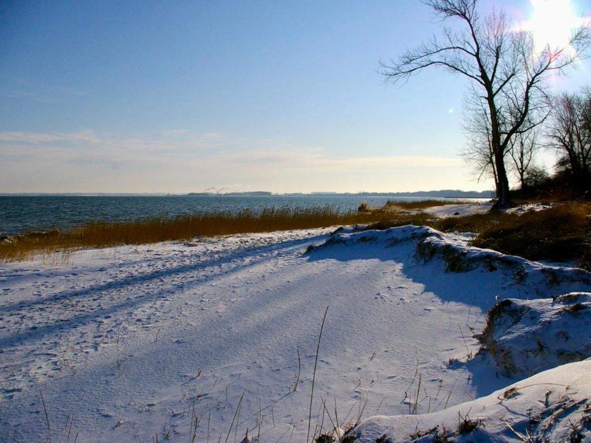 Tallskog - Dein Apartment Am Naturstrand Hohen Wieschendorf Hohenkirchen  Zewnętrze zdjęcie