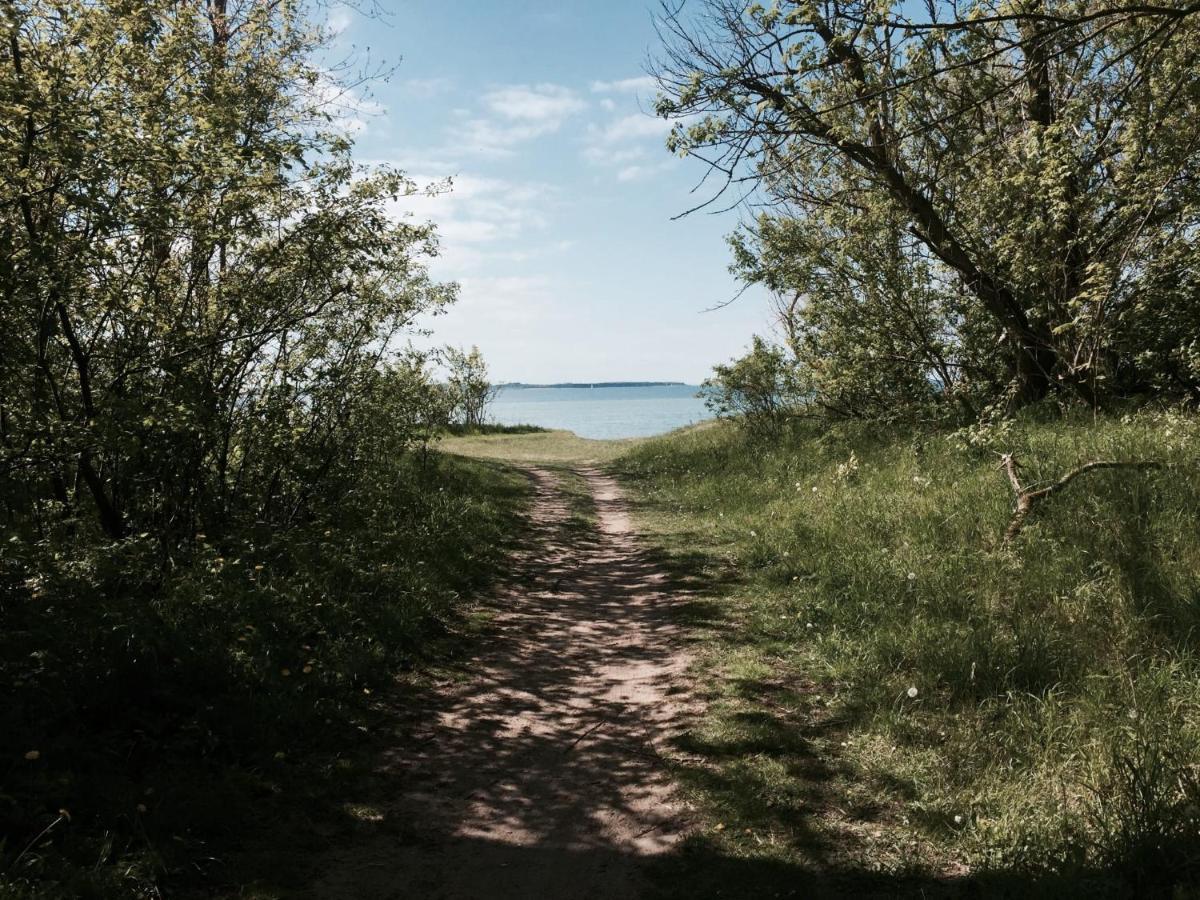 Tallskog - Dein Apartment Am Naturstrand Hohen Wieschendorf Hohenkirchen  Zewnętrze zdjęcie